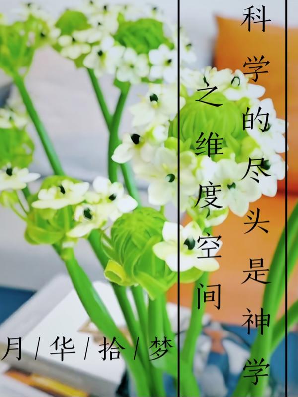 科学的尽头是神学之维度空间