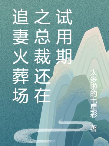 追妻火葬场之总裁还在试用期