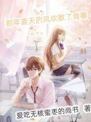 那年夏天的风吹散了青春