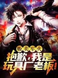 贩卖军火抱歉我是玩具厂老板(白石)