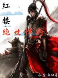 红楼：绝世悍将阅读