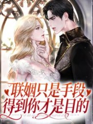 江清影陆衿渊完整版