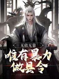 无依无靠唯有暴力做县令陆译