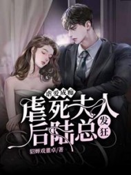 虐爱成痴虐死夫人后陆总发狂了