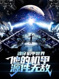 魂穿机甲世界，他的机甲源件无敌