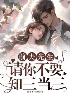 前夫先生，请你不要知三当三