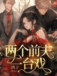 两个前夫一台戏阅读