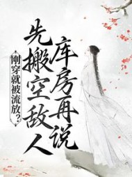 刚穿就被流放？先搬空敌人库房再说君婉