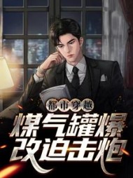 都市穿越煤气罐爆改迫击炮张小凡