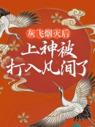灰飞烟灭后上神被打入凡间了苏冉冉