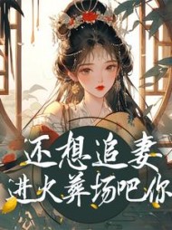 还想追妻进火葬场吧你安绮