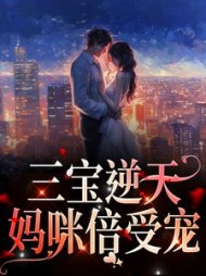 三宝逆天妈咪倍受宠林朝夕