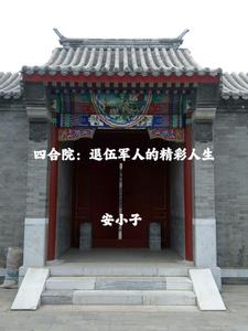 四合院:退伍军人的精彩人生