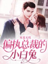 宠妻无度偏执总裁的小白兔阅读
