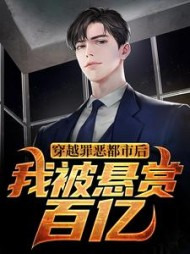穿越罪恶都市后我被悬赏百亿夜赋安