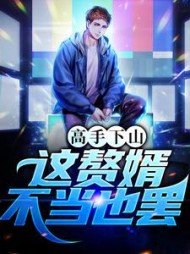 高手下山这赘婿不当也罢林枫