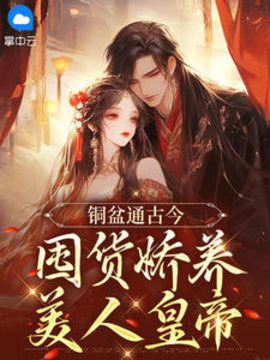 铜盆通古今，囤货娇养美人皇帝