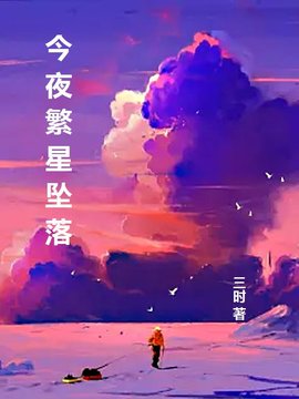 今夜繁星坠落