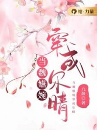 当魏嬿婉穿成尔晴精彩