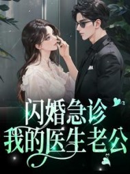闪婚急诊我的医生老公林娴陈一泽