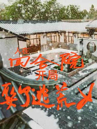 人在四合院开局娶了逃荒女