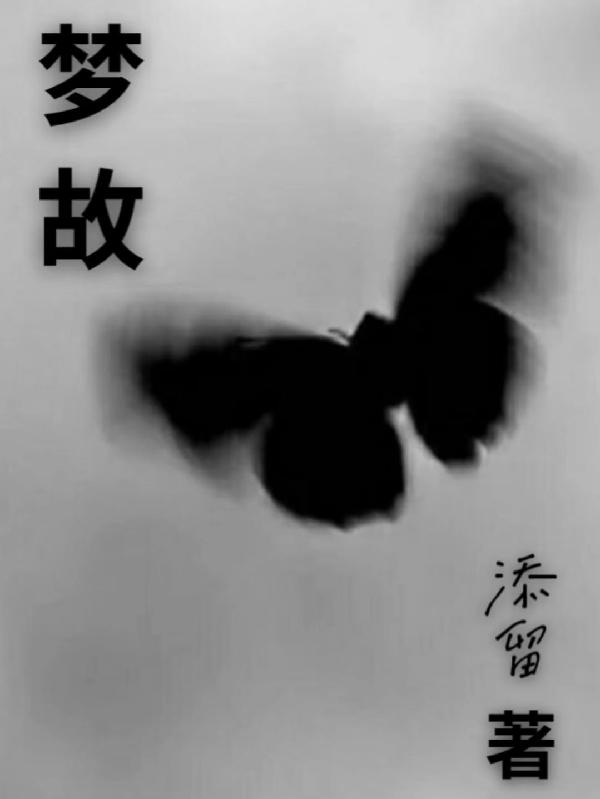 梦故
