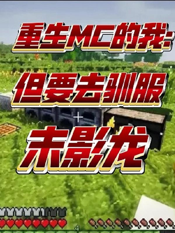 重生MC的我：但要去驯服末影龙