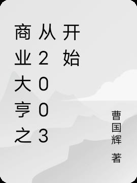 商业大亨之从2003开始