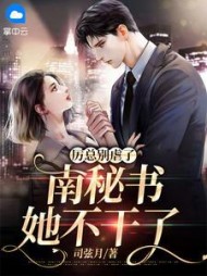 厉总别虐了,南秘书她不干了阅读