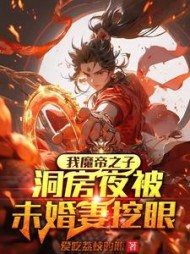 我魔帝之子，洞房夜被未婚妻挖眼阅读