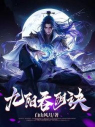 九阳吞阴诀阅读