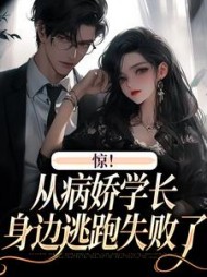 主角是向暖叶寒的