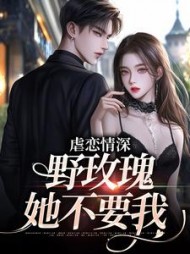 主角是江辰苏婉的