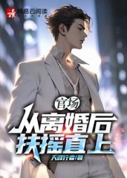 从离婚后扶摇直上阅读