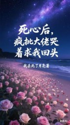 死心后，疯批大佬哭着求我回头最新
