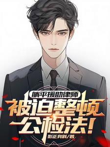 躺平援助律师，被迫整顿公检法阅读