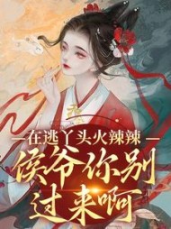 主角是边君司空凌的