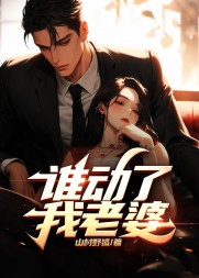 谁动了我老婆大宝儿阅读