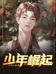 少年崛起王浩宇周芸阅读