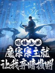 刚接上单,魔宗宗主就让我弃暗投明完整版
