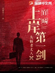 官场上岸第一剑先斩老丈人阅读