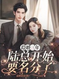 隐婚三年,陆总开始要名分了完整版