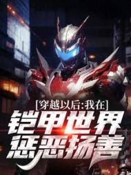 穿越以后,我在铠甲世界惩恶扬善完整版