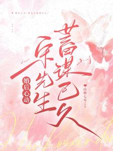 婚后心动，宋先生蓄谋已久阅读