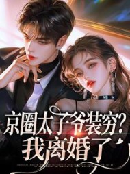 京圈太子爷装穷？我离婚了最新