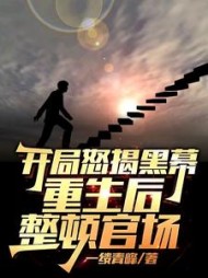 开局怒揭黑幕，重生后整顿官场阅读