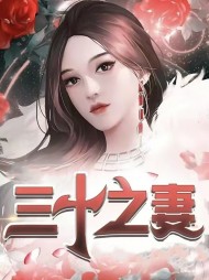 三十之妻姜蓉陈建平阅读