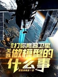 老头打你鹰酱卫星，关我做模型的什么事阅读