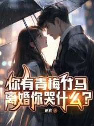 你有青梅竹马，离婚你哭什么？阅读