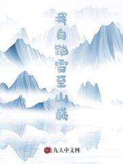我自踏雪至山巅庄岩柳琴